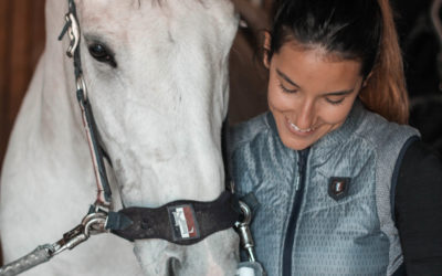 Dry Shampoo for Horses