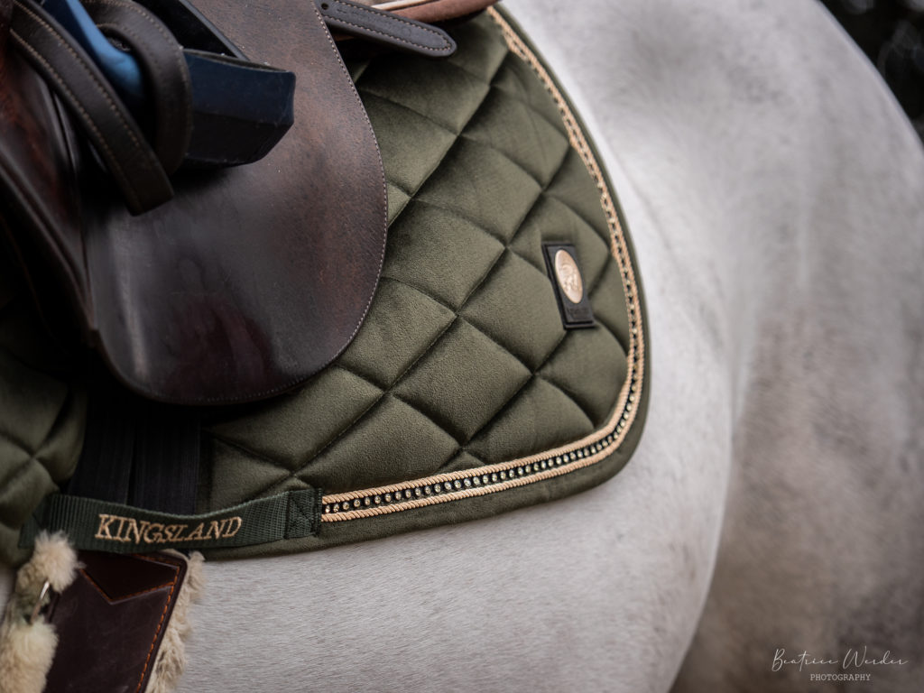 Deconstructing the Saddle Pad – The Horse